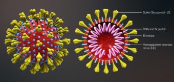 Coronavirus New Cases in India Latest Updates | How to Keep Yourself Safe from Coronavirus