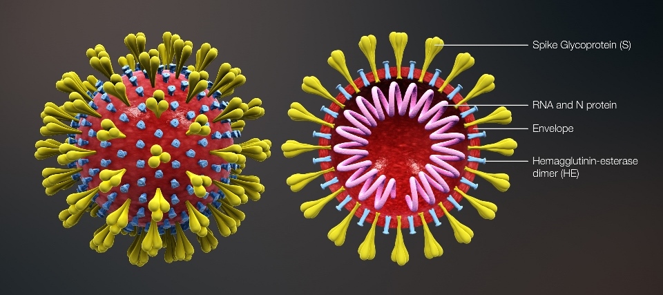 Coronavirus New Cases in India Latest Updates | How to Keep Yourself Safe from Coronavirus