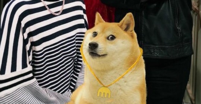 dogecoin