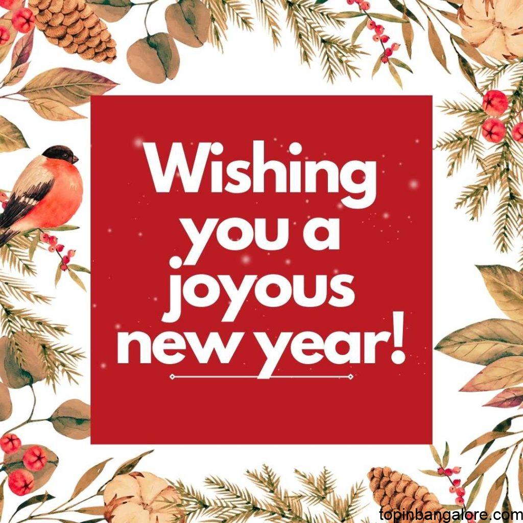Wishing you a joyous new year!