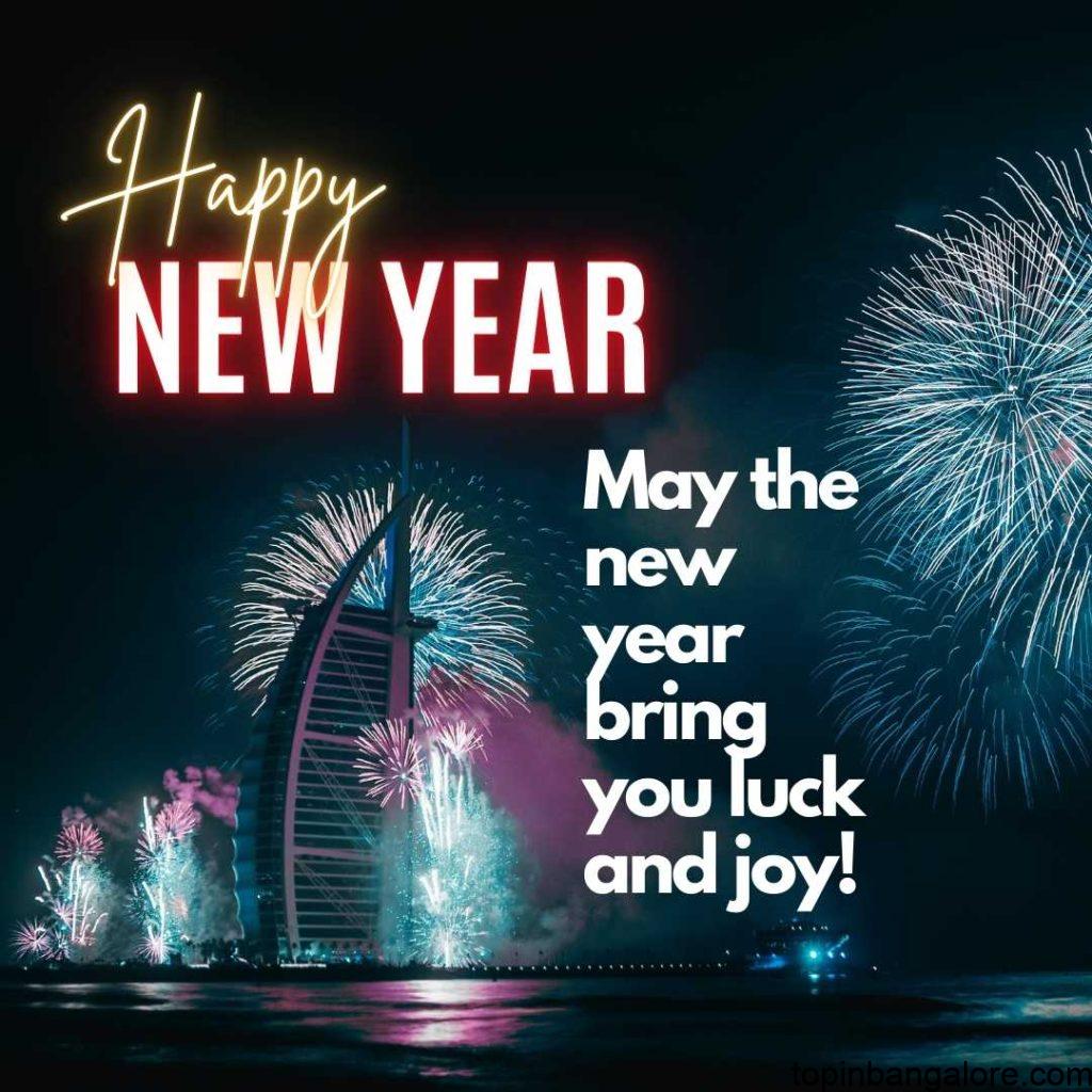 May the new year bring you luck and joy!