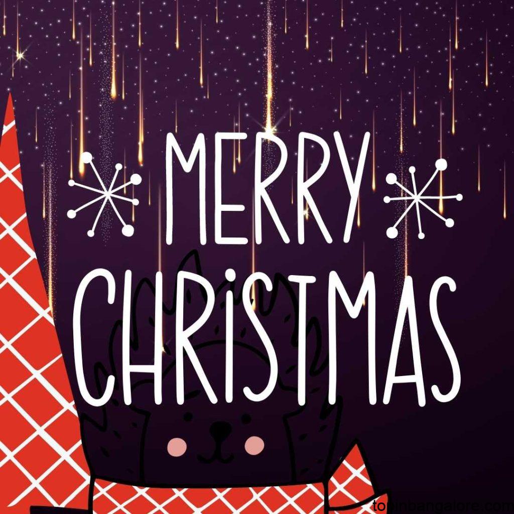 Merry christmas banner in white and bold written color with red christmas tree and black backround.